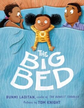 The Big bed book cover.