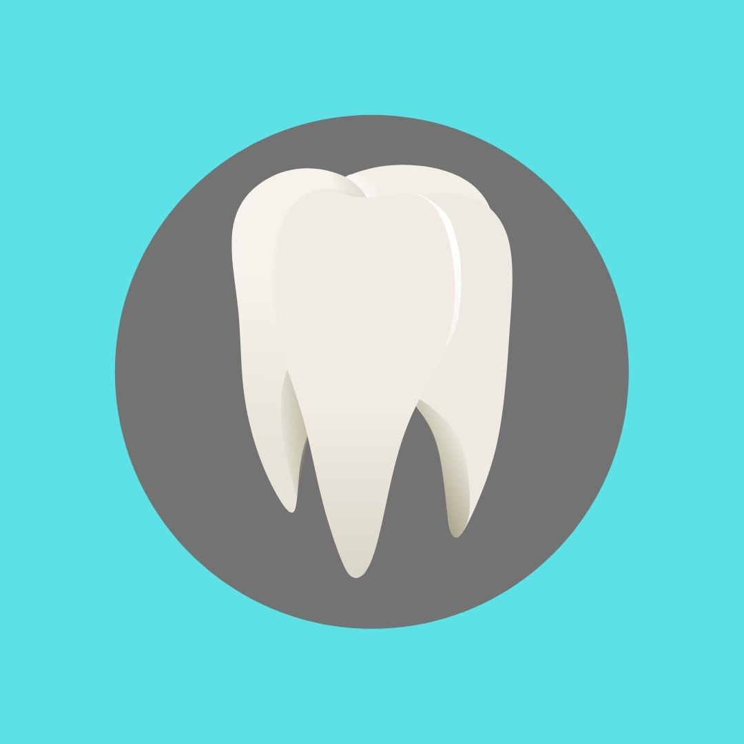 tooth on a gray and teal background