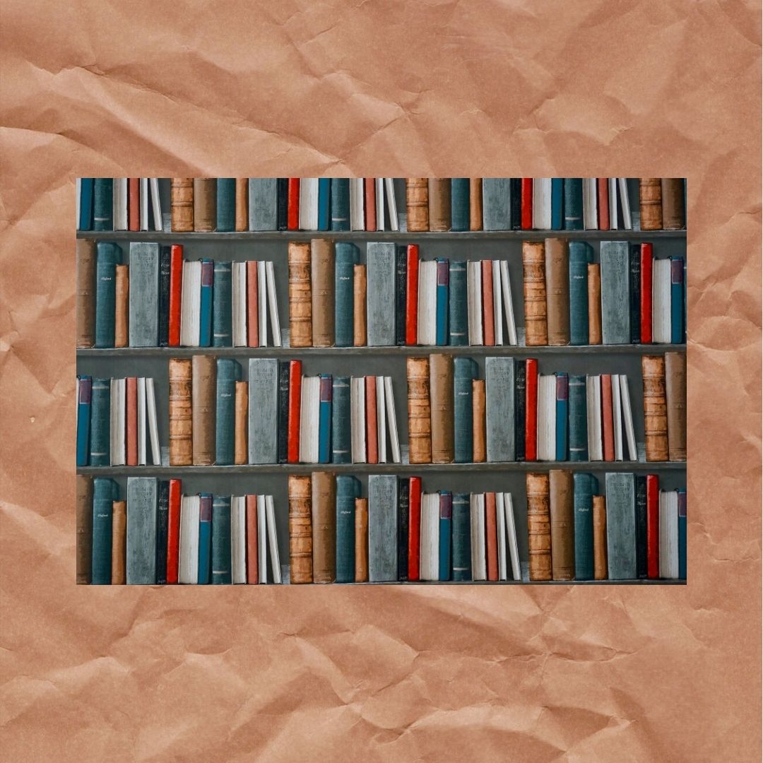 books in shelves on brown paper