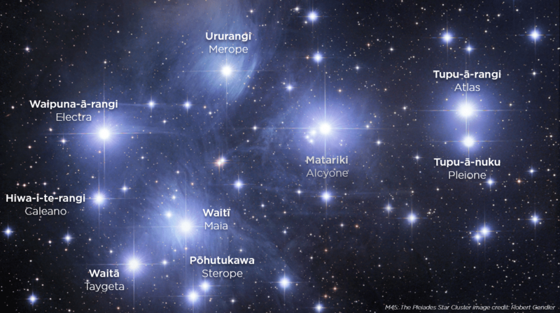 The Matariki stars