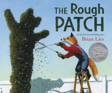 The Rough patch book cover.