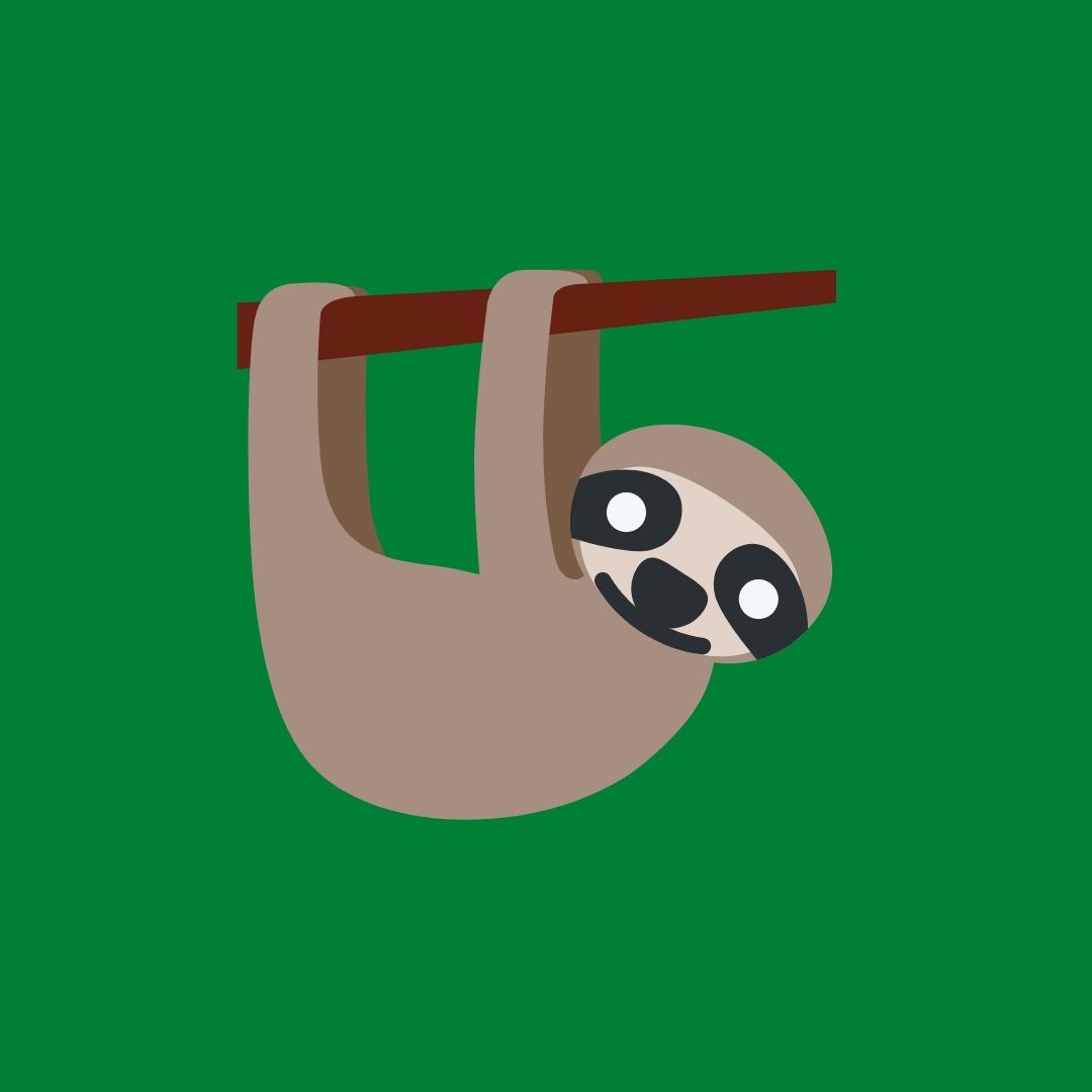 sloth hanging on green background