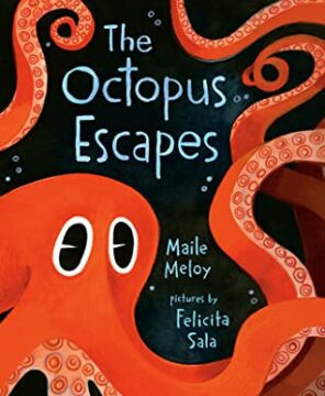 The octopus escapes book cover.