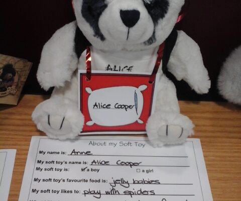 Anne's Alice Cooper bear with information sheet.