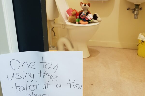 Can toys even read signs?