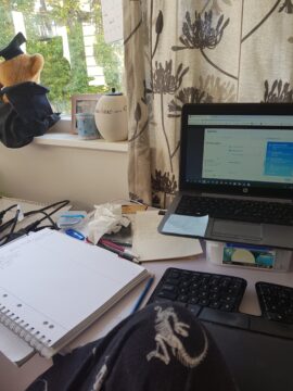 My work-from-home set-up during lockdown, and while we had bears in our windows. 