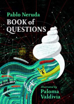 Book of questions book cover.