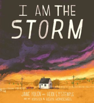 I am the storm book cover.