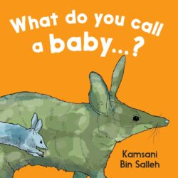 What do you call a baby book cover.