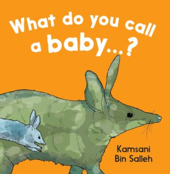 What do you call a baby book cover.