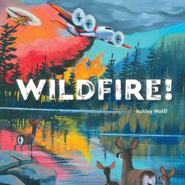 Wildfire book cover.